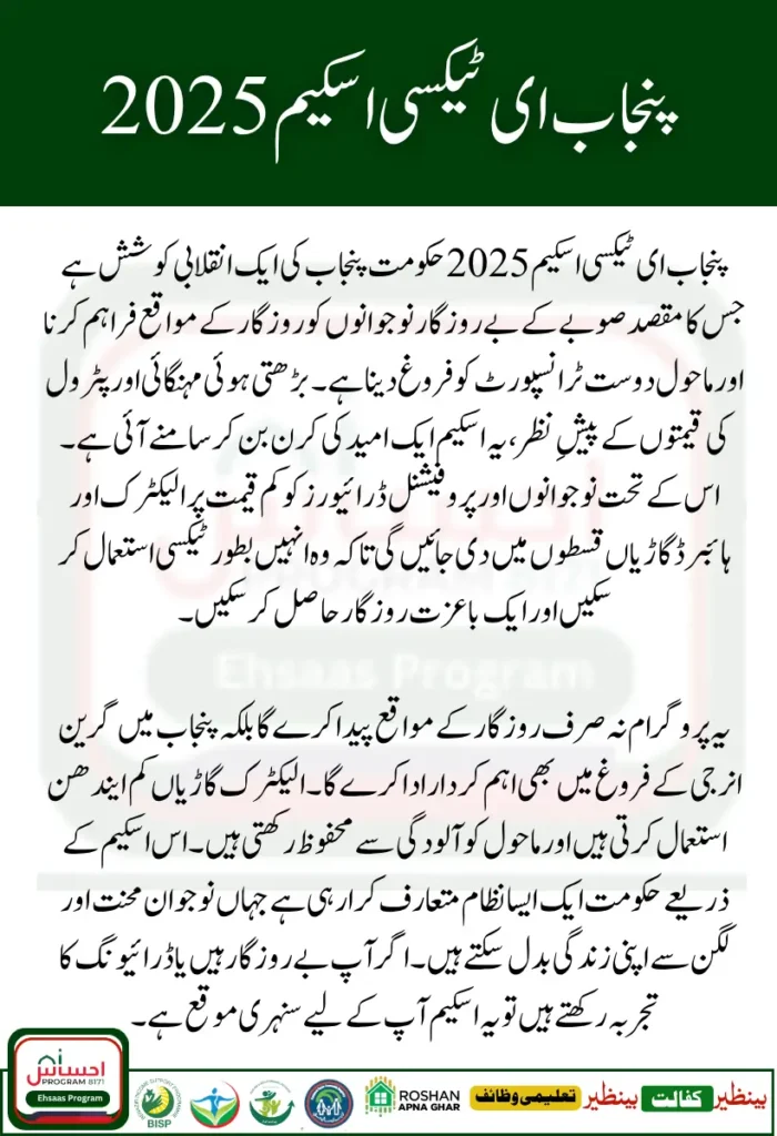 Punjab E Taxi Scheme 2025, Models, Prices and How to Apply