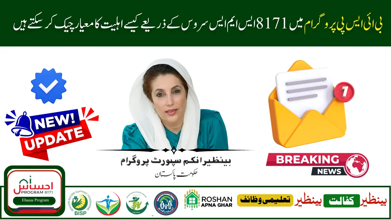 How to Use 8171 SMS Service to Check Payment