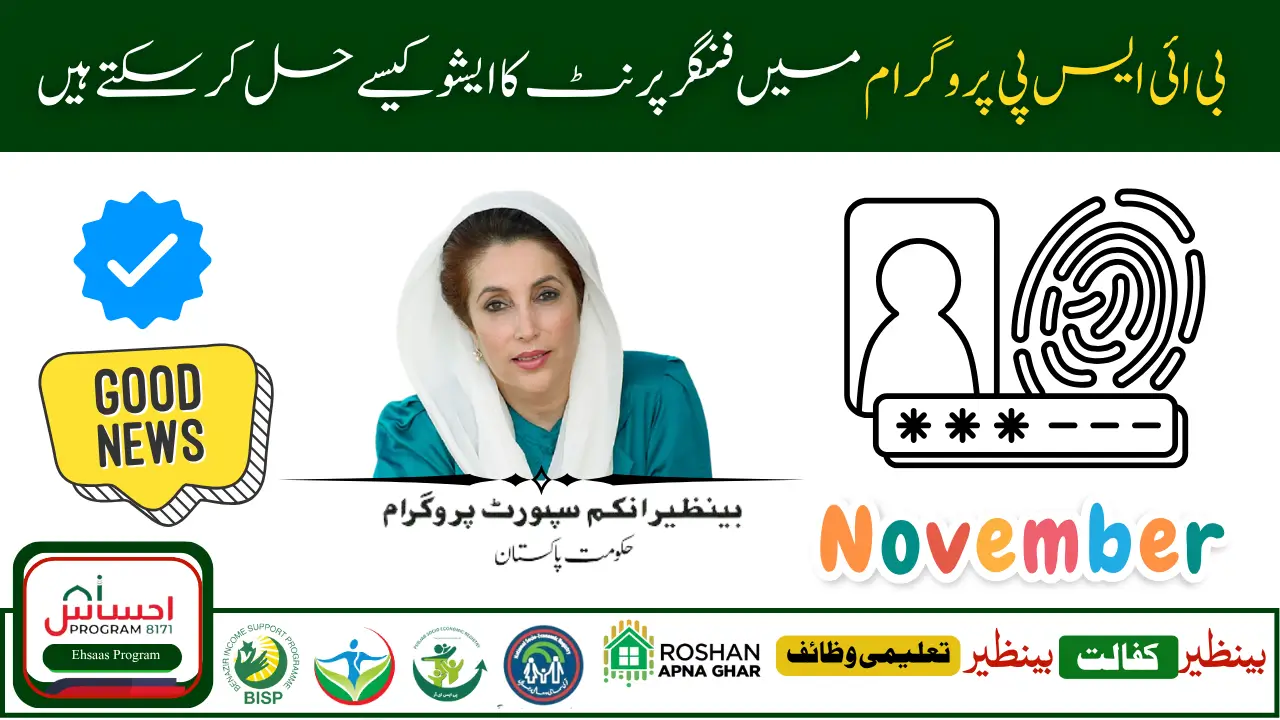 How to Solve BISP Biometric Verification Problem